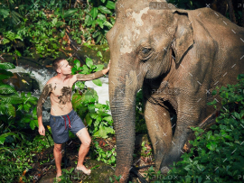demo-attachment-25-traveler-with-elephant-PYYEKQD